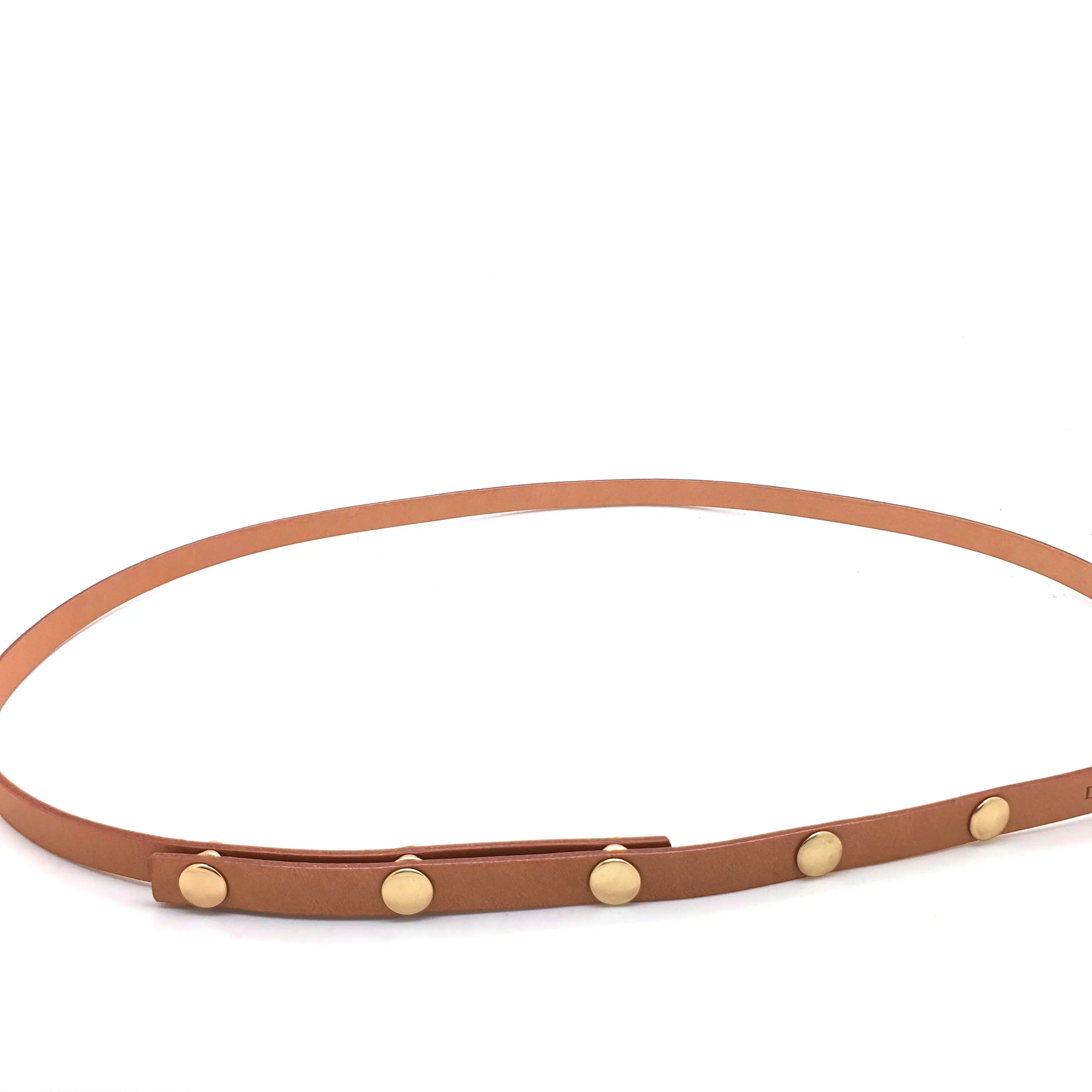 Honey Patina Vachetta Leather Button Snaps Belt Strap for Florentine Pochette dressupyourpurse