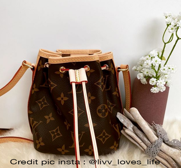 Vachetta Leather Drawstring Cord 4m with Slide For NANO NOE dressupyourpurse