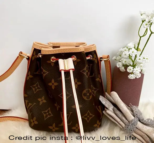 Vachetta Leather Drawstring Cord 4m with Slide For NANO NOE dressupyourpurse