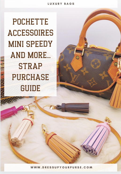 Dowload the complete guide to Dress Up your LV Pochette accessoires, M –  dressupyourpurse